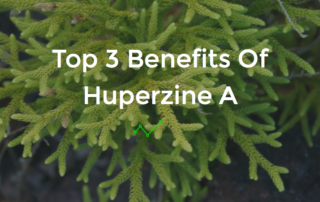 huperzine a benefits