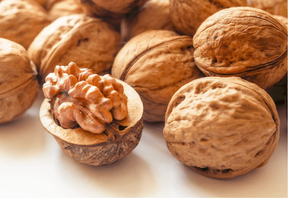 walnut food